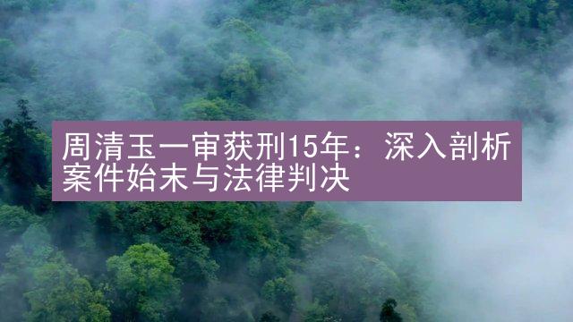 周清玉一审获刑15年：深入剖析案件始末与法律判决